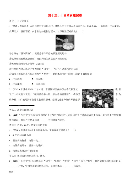 (东营专版)2020年中考物理总复习 第十三、十四章 内能 内能的利真题演练