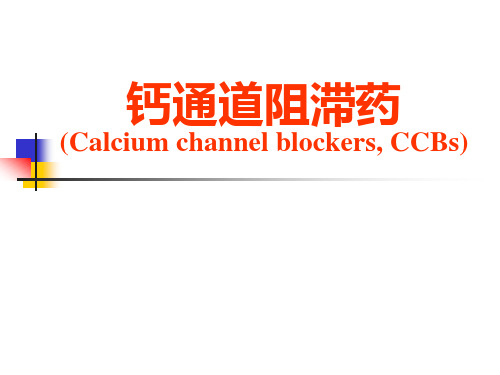 药理学PPT课件 钙通道阻滞药