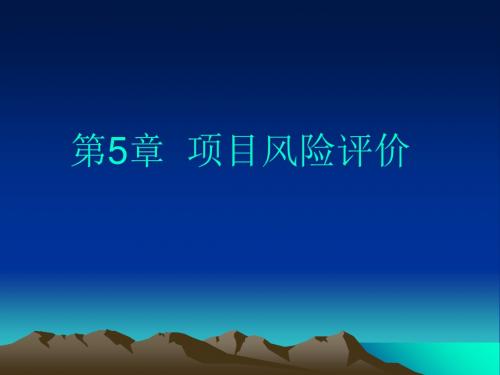 第5章项目风险评价-PPT精品文档
