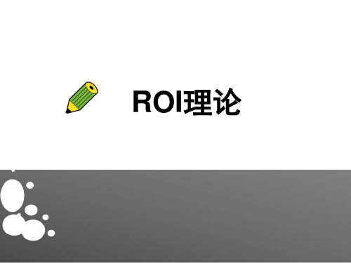 ROI理论