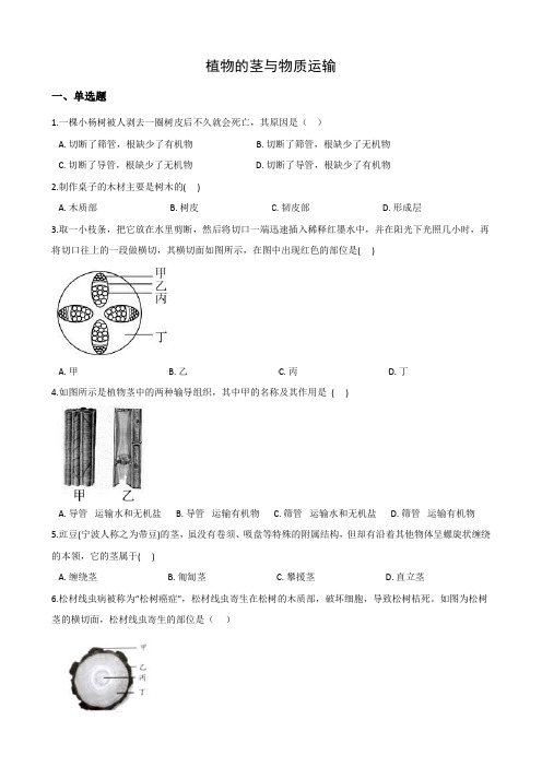 2020-2021学年浙教版科学八年级下册 4.4植物的茎与物质运输