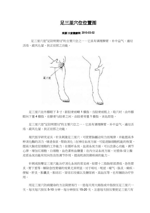足三里穴位位置图