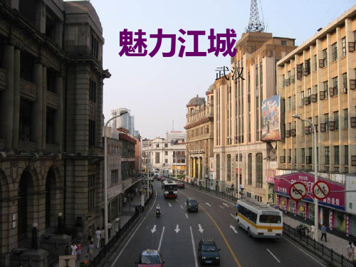 武汉市情PPT