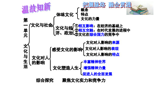 人教版高中政治必修三世界文化的多样性优质PPT