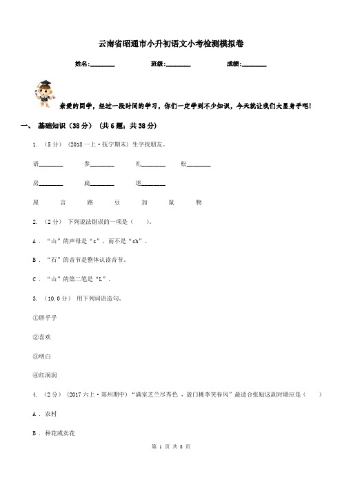 云南省昭通市小升初语文小考检测模拟卷