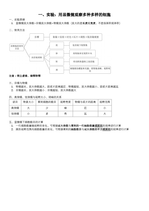 实验：用显微镜观察多种多样的细胞