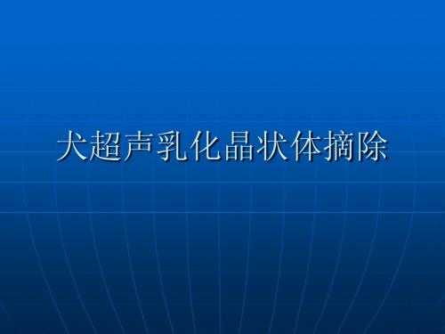 犬白内障手术