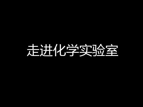 人教版九年级化学上册 第1单元 课题3 走进化学实验室 第1课时(共16张PPT)