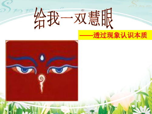 现象本质与明辨是非(终稿)