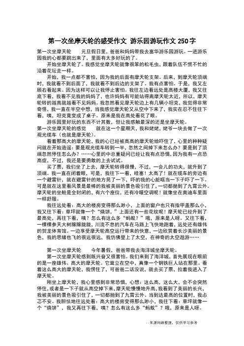 第一次坐摩天轮的感受作文 游乐园游玩作文250字_日记250字
