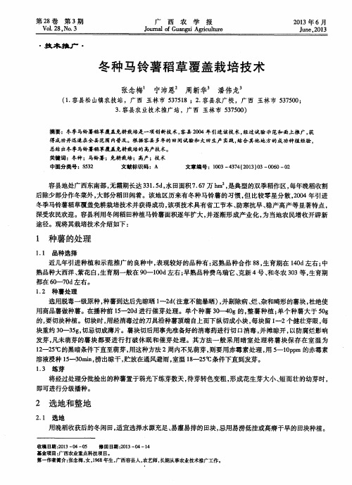 冬种马铃薯稻草覆盖栽培技术