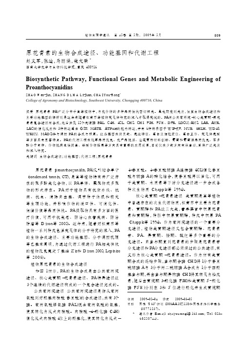 原花青素的生物合成途径、功能基因和代谢工程