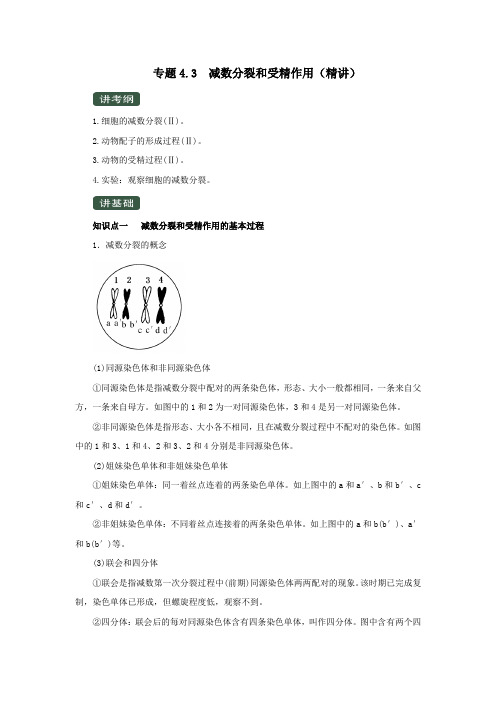 2020年高考生物一轮复习专题4.3减数分裂和受精作用(讲)(含解析)