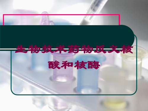 生物技术药物反义核酸和核酶培训课件