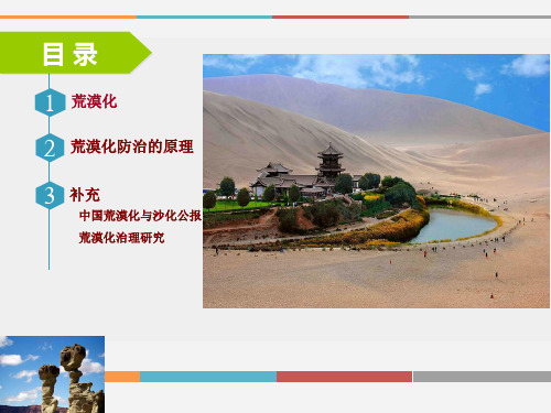 荒漠化防治原理