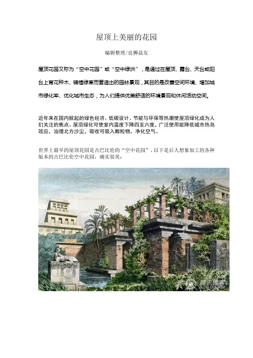 屋顶上美丽的花园