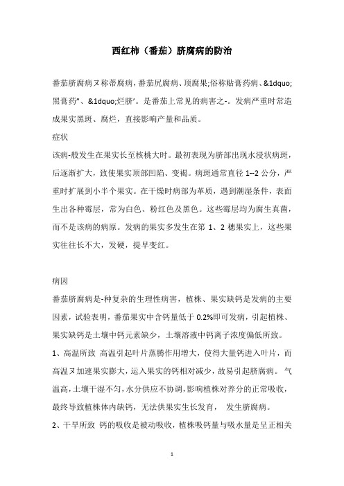 西红柿(番茄)脐腐病的防治