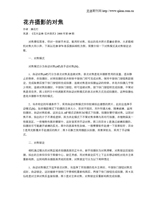 花卉摄影的对焦