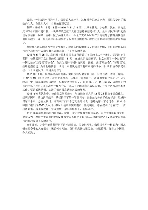 我的家乡风云人物云南