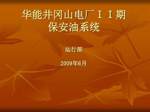 保安油系统课件