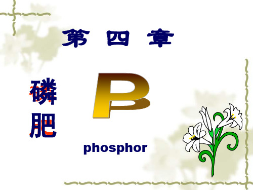 土壤肥料学知识-第9章 磷肥