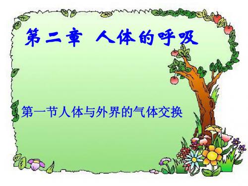 第三章__人体的呼吸