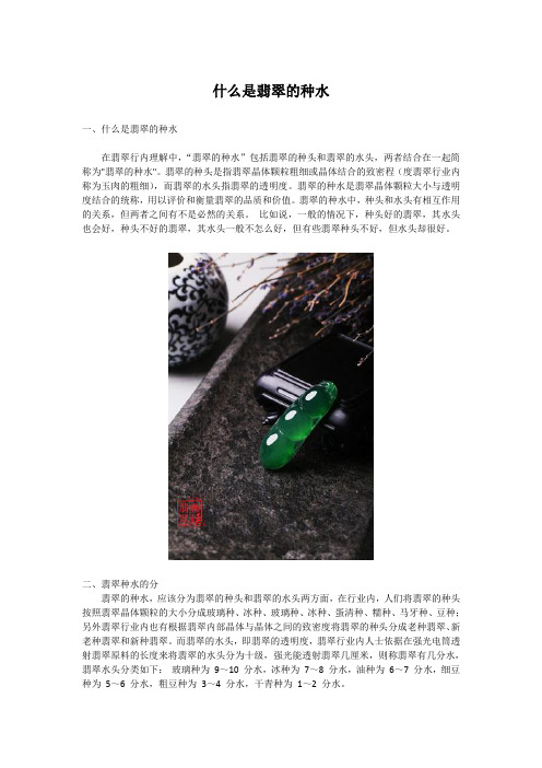 什么是翡翠的种水(图文)