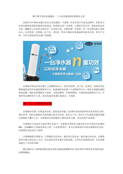 哪个牌子的净水器,十大净水器品牌汉斯顿怎么样