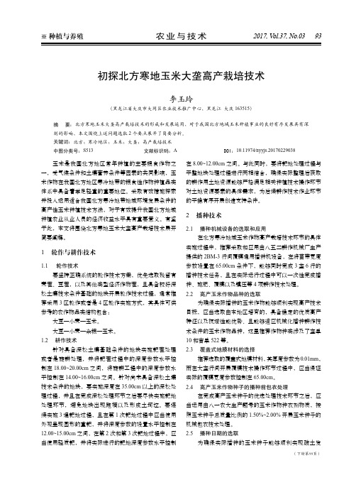 初探北方寒地玉米大垄高产栽培技术