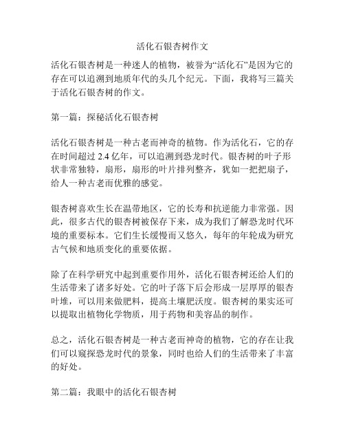 活化石银杏树作文