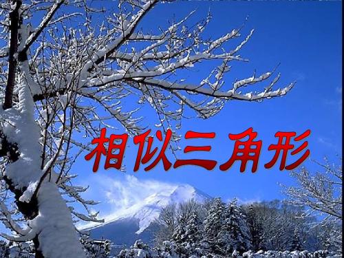 相似三角形的判定1
