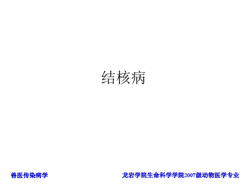 结核病