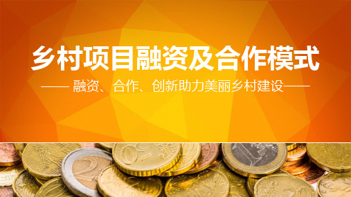 乡村项目的融资及合作模式概述(PPT39页)