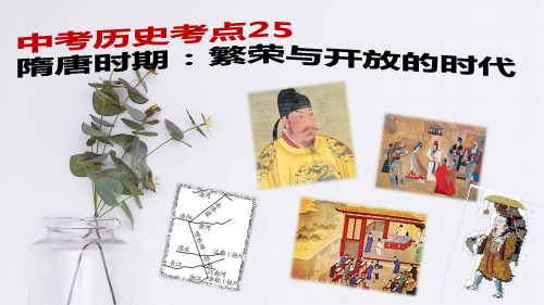 中考历史考点25---隋唐时期：繁荣与开放的时代(部编版)