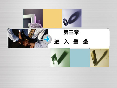 产业经济学第3章进入壁垒-PPT课件