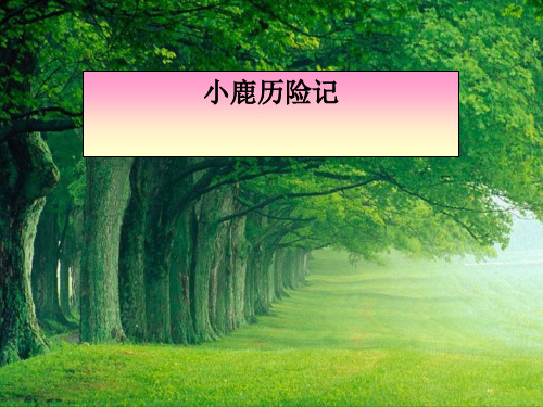 《小鹿历险记》PPT课件