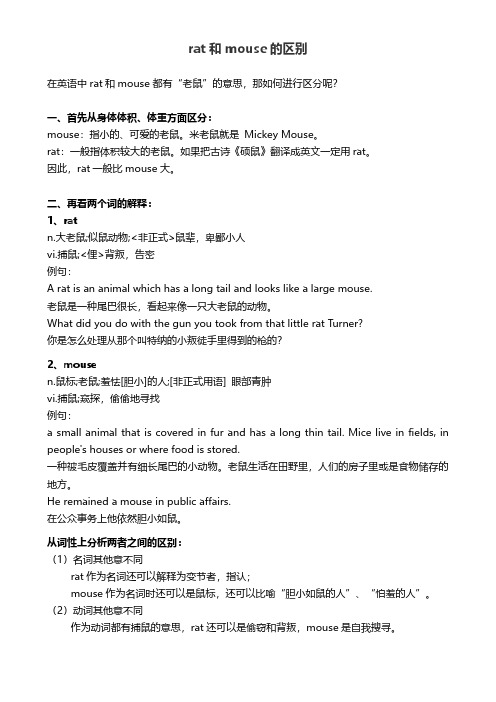 rat和mouse的区别