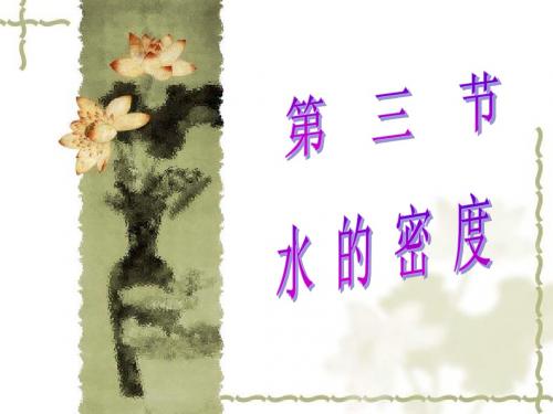 1.3水的密度(第1课时).ppt