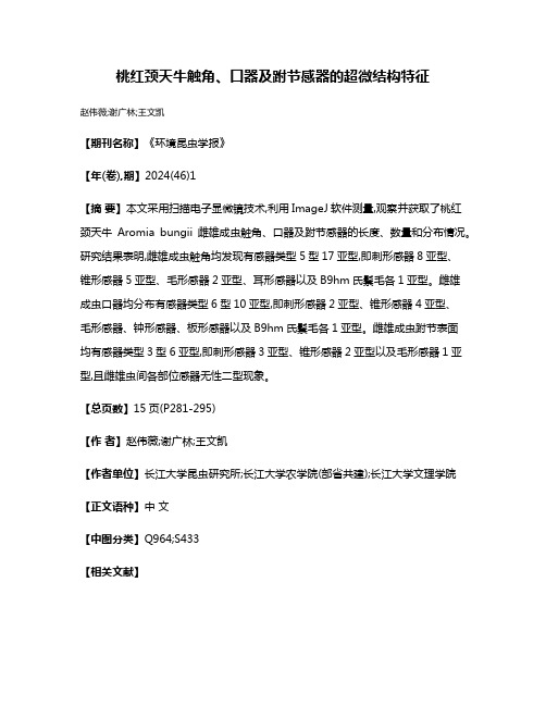 桃红颈天牛触角、口器及跗节感器的超微结构特征