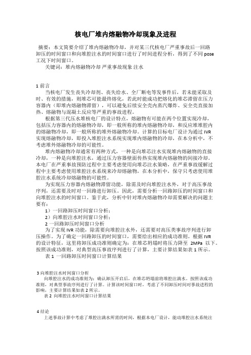 核电厂堆内熔融物冷却现象及进程