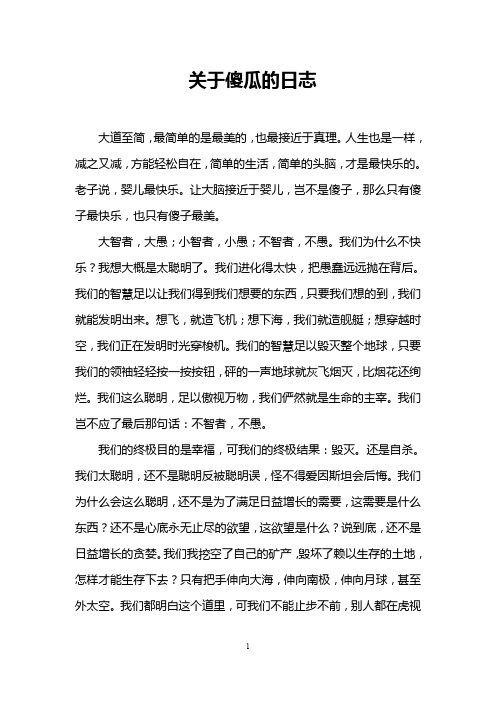 关于傻瓜的日志