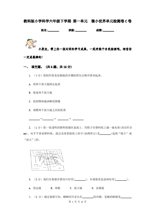 教科版小学科学六年级下学期 第一单元  微小世界单元检测卷C卷