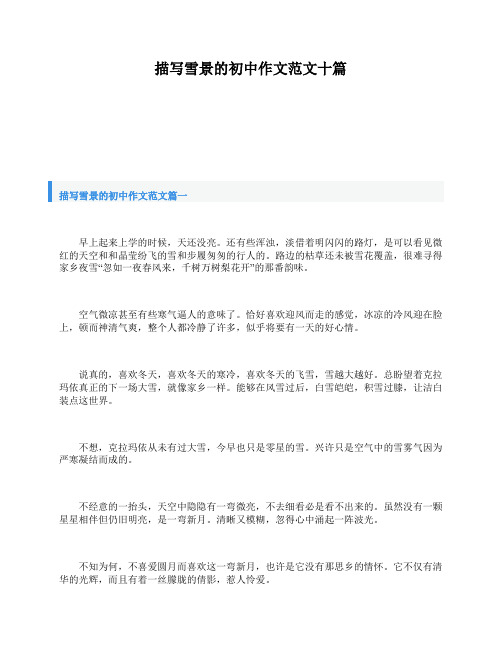 描写雪景的初中作文范文十篇