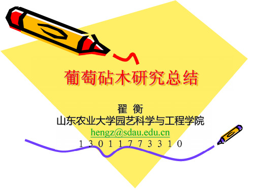 葡萄砧木抗逆性研究总结