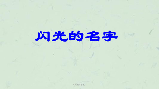 《闪光的名字》课件
