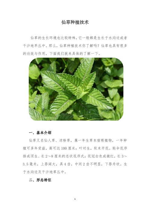 仙草种植技术