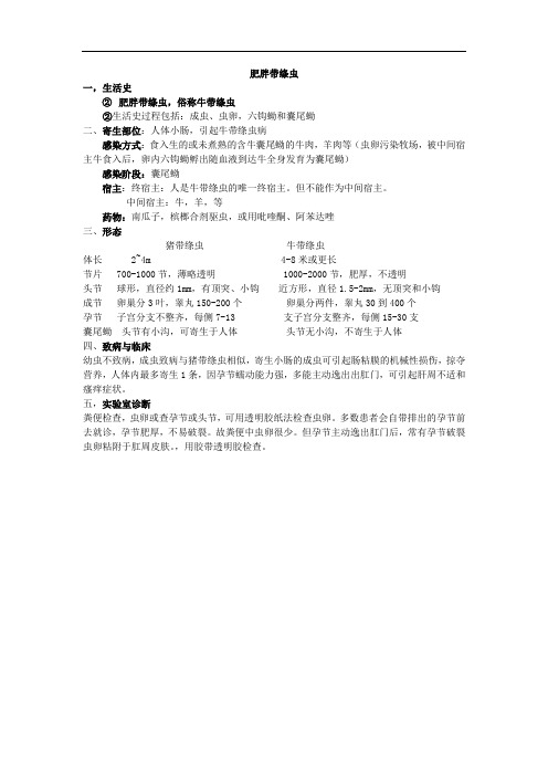 临床寄生虫检验之牛带绦虫