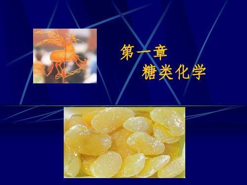 生物化学 第1章    糖类化学