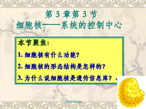 高中必修1生物《细胞核--系统的控制中心》