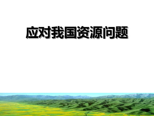 人教版历史与社会九年级下应对我国的资源问题 (3)